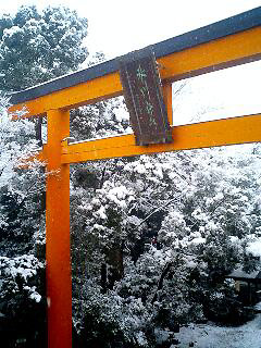 torii.jpg 240320 43K